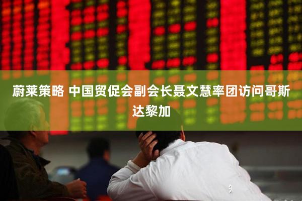 蔚莱策略 中国贸促会副会长聂文慧率团访问哥斯达黎加