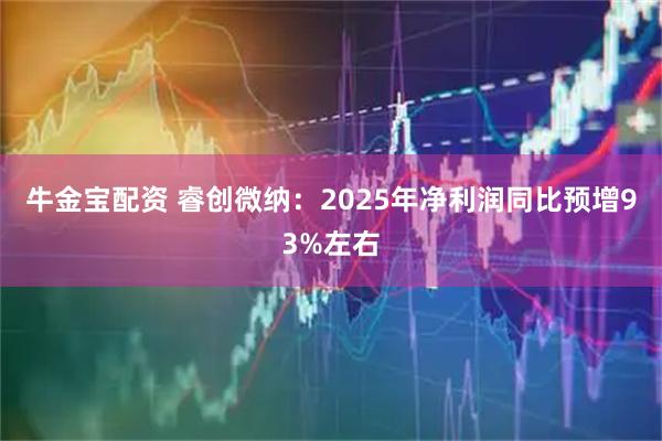 牛金宝配资 睿创微纳：2025年净利润同比预增93%左右