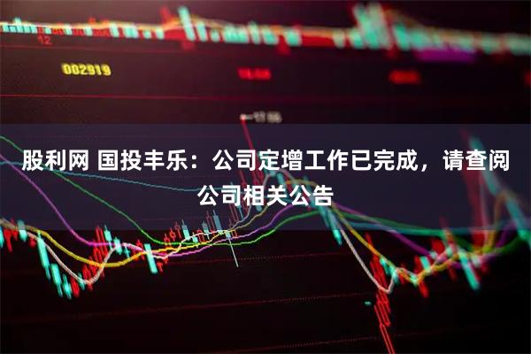 股利网 国投丰乐：公司定增工作已完成，请查阅公司相关公告