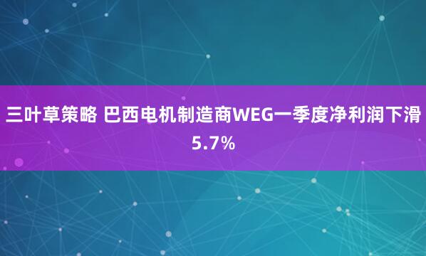 三叶草策略 巴西电机制造商WEG一季度净利润下滑5.7%