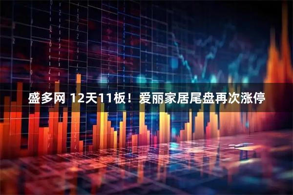 盛多网 12天11板!爱丽家居尾盘再次涨停