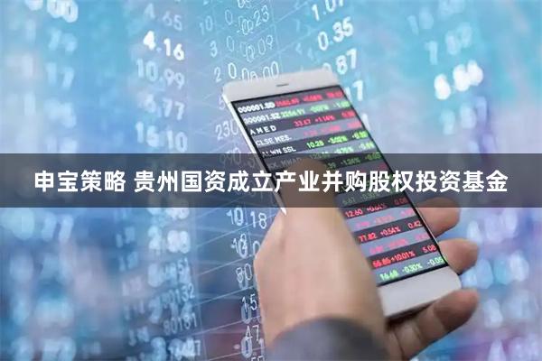 申宝策略 贵州国资成立产业并购股权投资基金